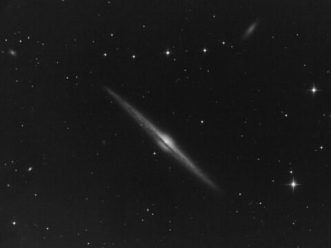 NGC4565