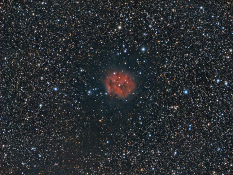 ic5146