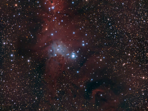 ngc2264b