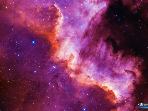 NGC7000_rentalscope