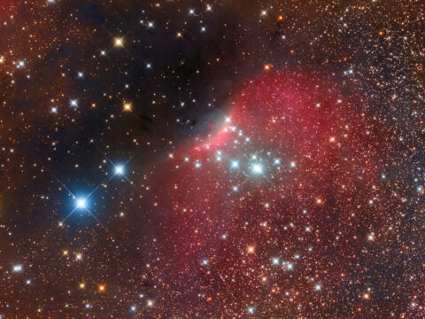 SH-140_rentalscope