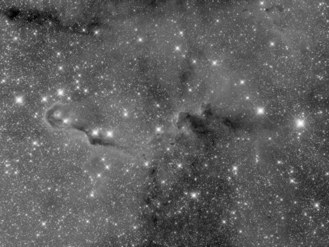 ic1396_rentalscope